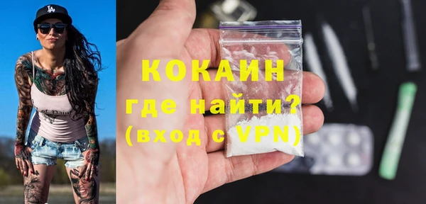спиды Богданович
