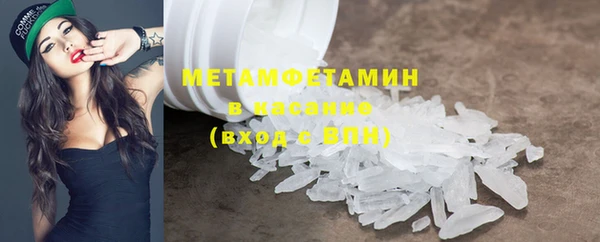 спиды Богданович