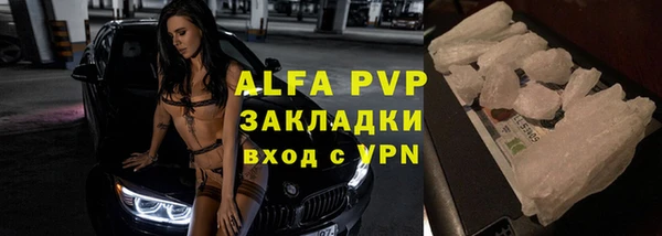 спиды Богданович