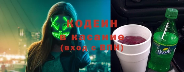 шишки Богородск