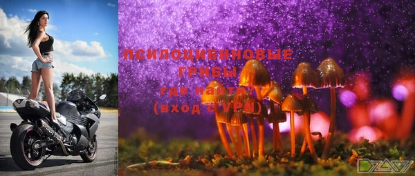 дурь Бугульма