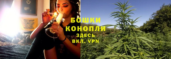 спиды Богданович