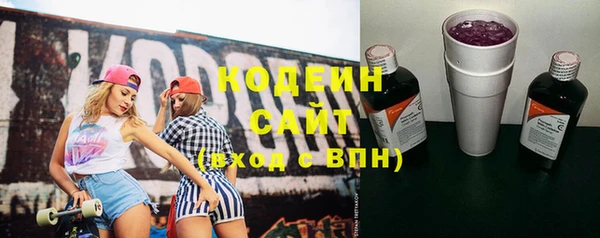 хмурый Богородицк