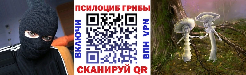 Галлюциногенные грибы Cubensis  Клин 